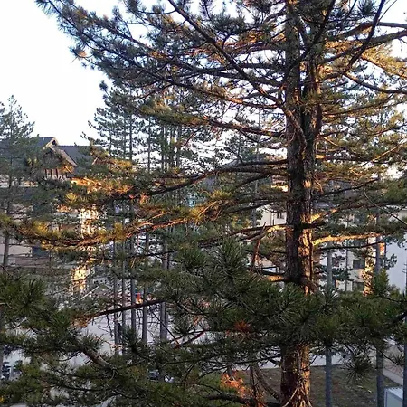 Merlin Apartmani, Zlatibor