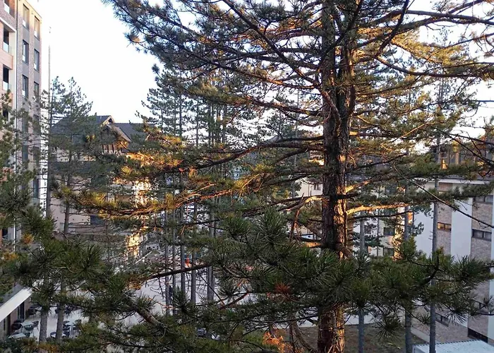 Merlin Apartmani, Zlatibor