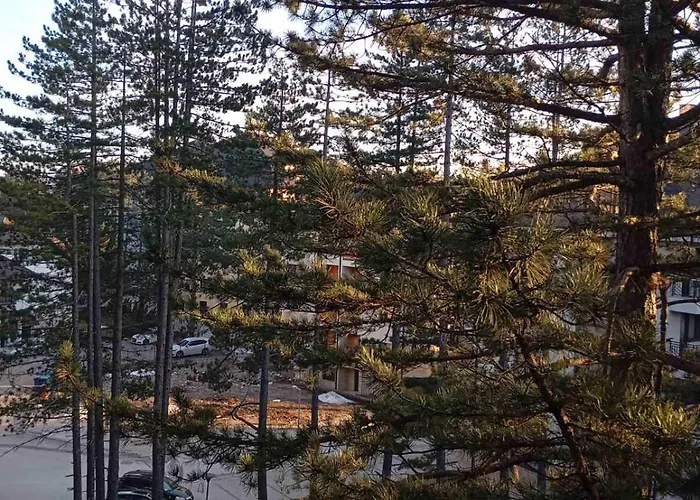 Merlin Apartmani, Daire Zlatibor