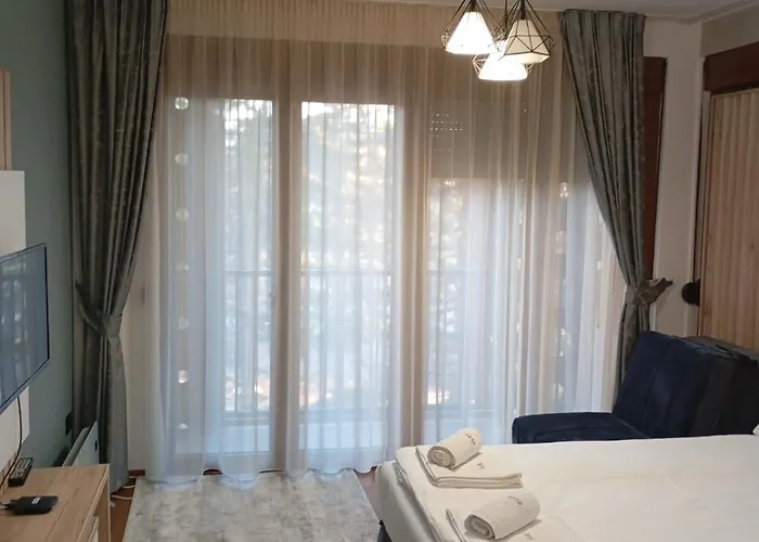 Merlin Apartmani, Daire Zlatibor